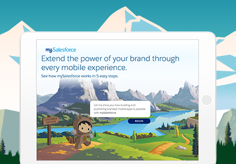 mySalesforce Interactive