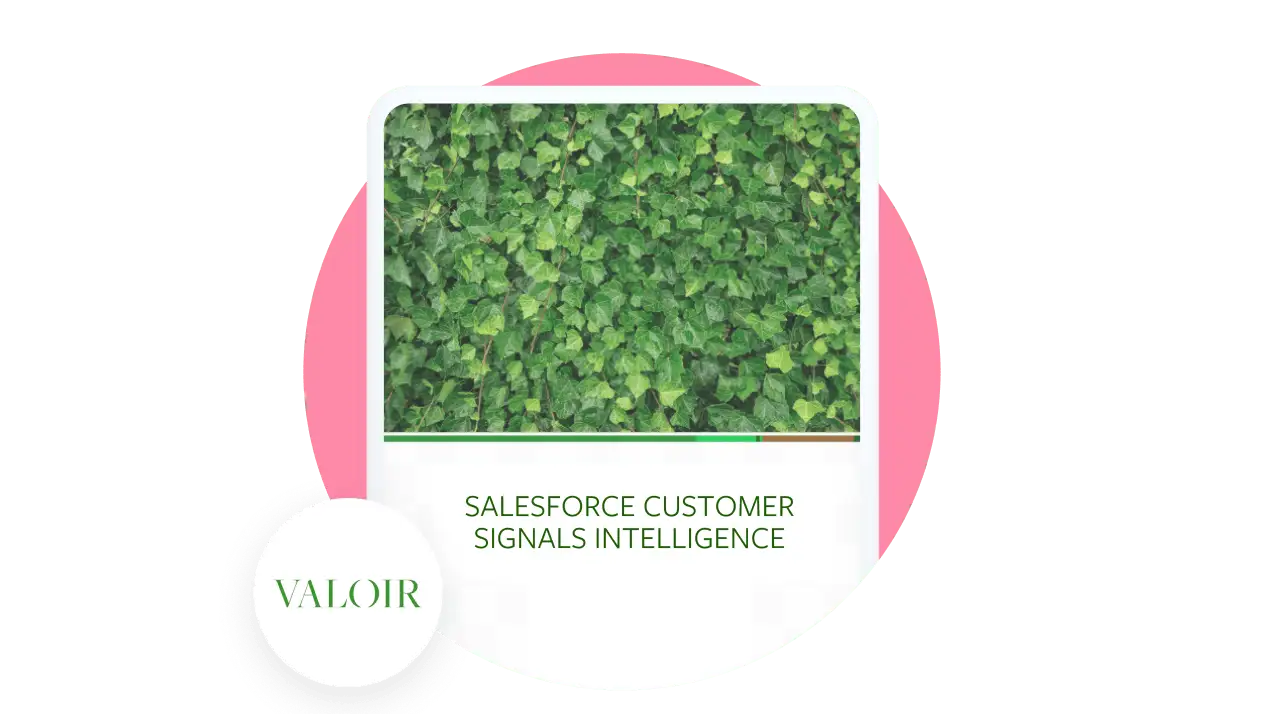 Salesforce Customer Signals Intelligence report cover.