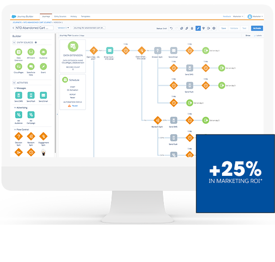 +25% in Marketing ROI