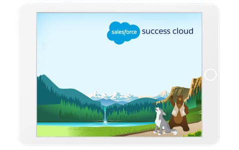Salesforce Success Cloud