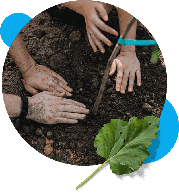 people planting new trees