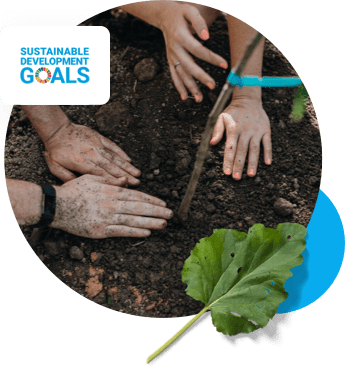 people planting new trees