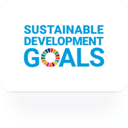 SDG logo
