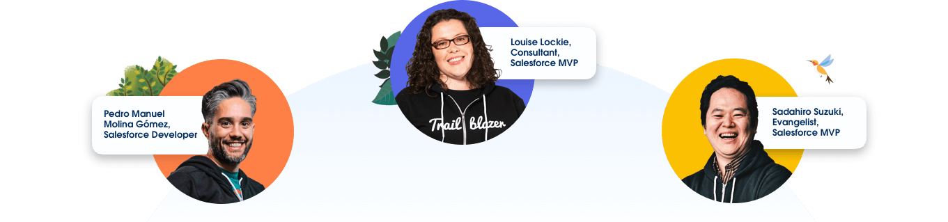 Salesforce developers, consultants, and customers
