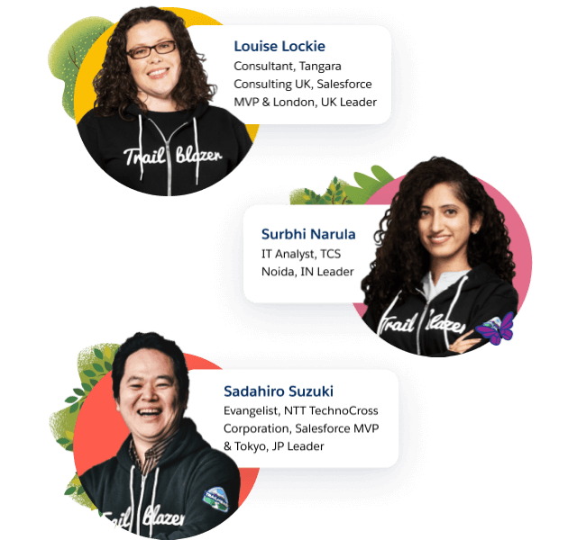 Salesforce developers, consultants, and customers