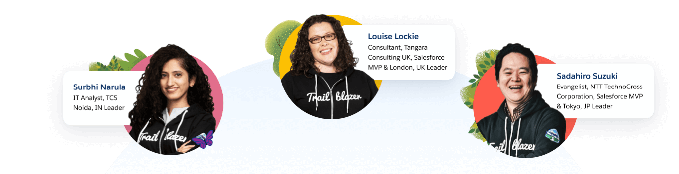 Salesforce developers, consultants, and customers