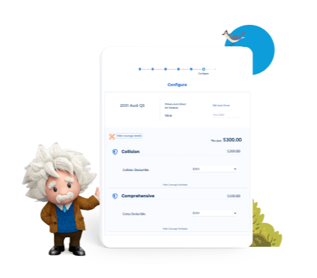 Einstein with software application