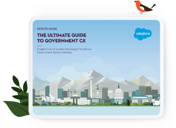 Ilustração relacionada ao “Guia supremo da experiência do cliente governamental”