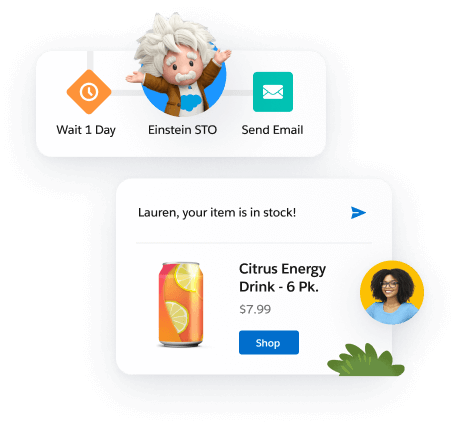 A representation of a journey that goes from 'Wait 1 Day' with a clock icon, 'Einstein STO' with an image of Einstein to 'Send Email' with an envelope icon. This is placed above a separate notification saying "Lauren, your item is in stock". The item is a Citrus Energy Drink 6-pack.