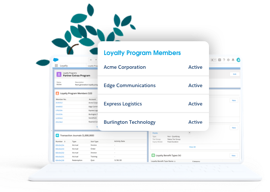 Salesforce-Loyalty-Management Zertifizierungsfragen | Maxtic