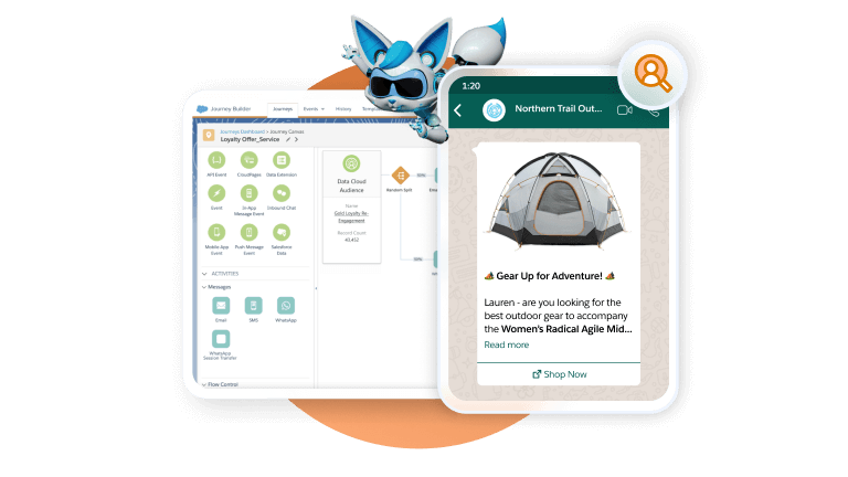 Agentforce Campaigns and Data Cloud