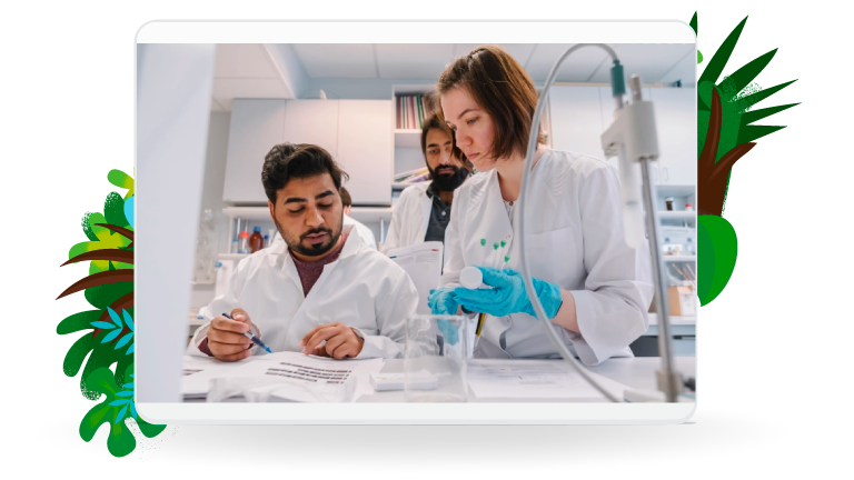 Transformation Playbook