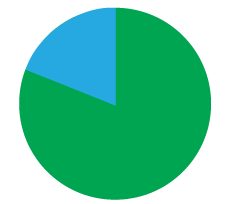 81% van de besluitvormers zegt versneld digitale initiatieven te ontplooien. Bron: Salesforce 'State of Service', 4e editie