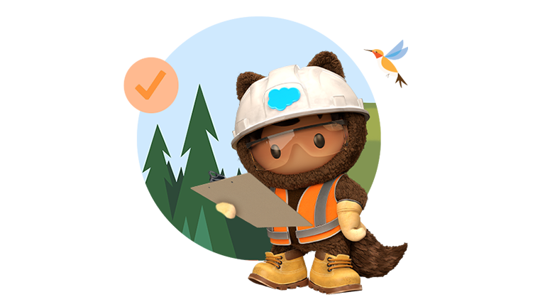 Astro in hardhat reviewing checklist for project