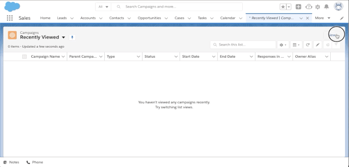 User clicks New button and then fills out Campaign Name, Active, Type before saving.