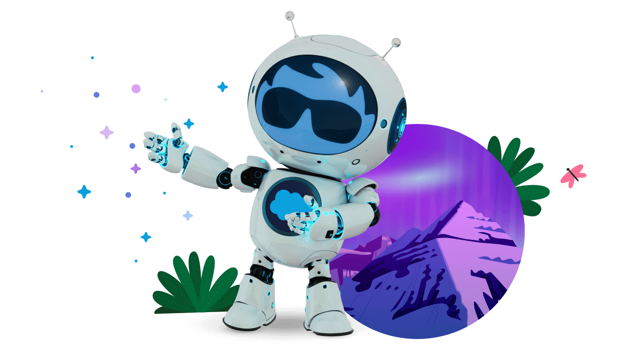 Salesforce Agentforce Activator — Professional Services