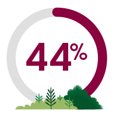 Grafico a torta che riporta 44%