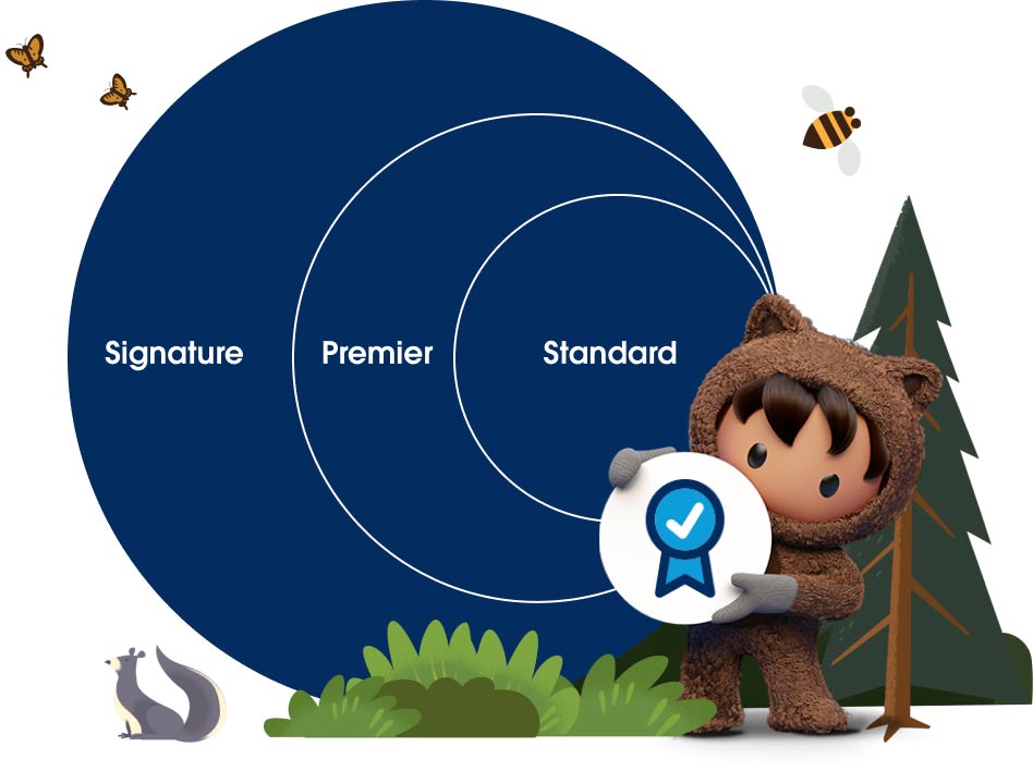 Get personalised support with the Signature Success Plan Salesforce