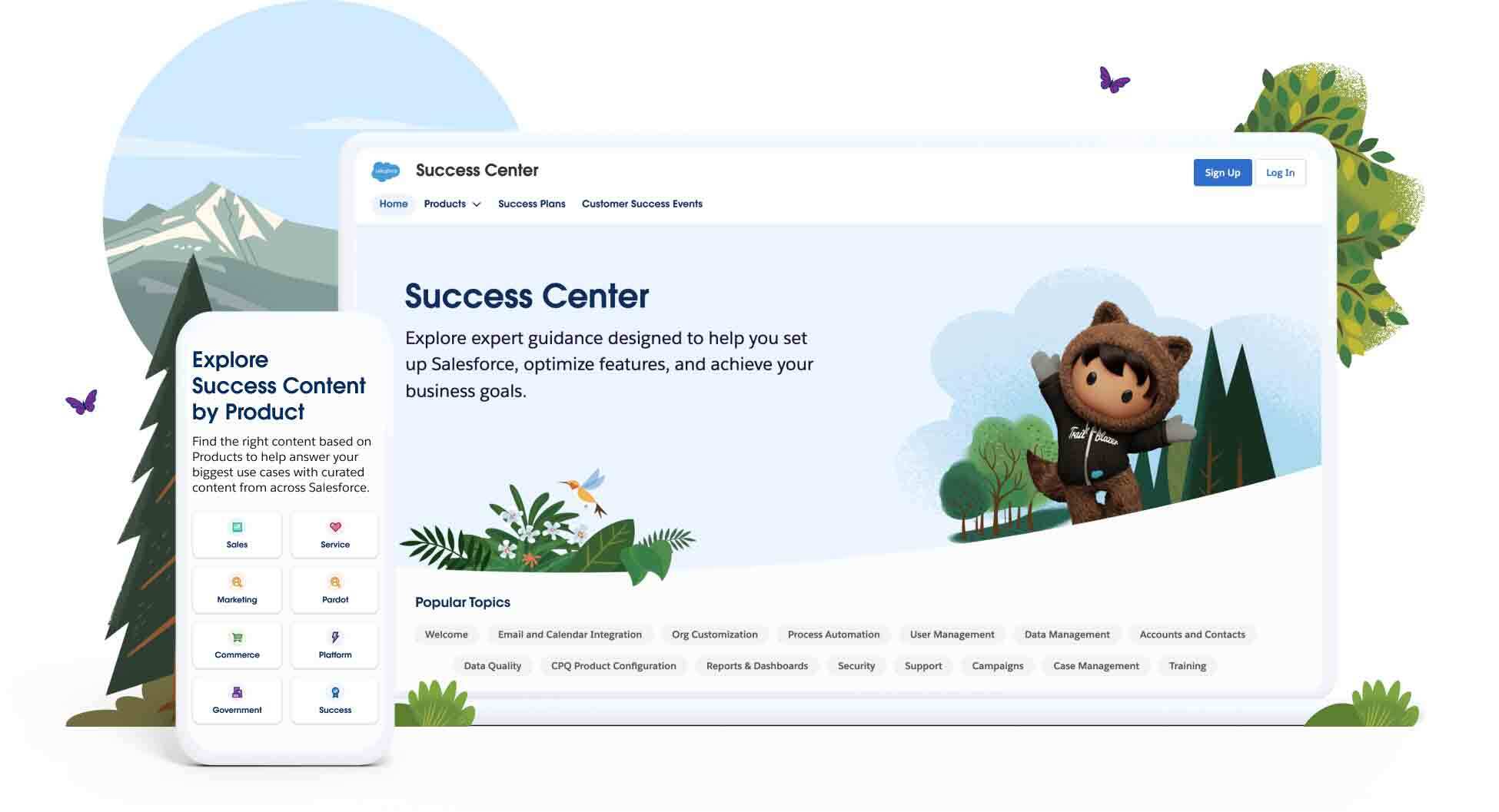 Salesforce Standard Success Plan