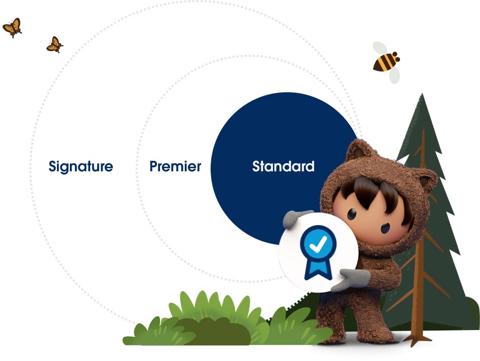 Salesforce Standard Success Plan