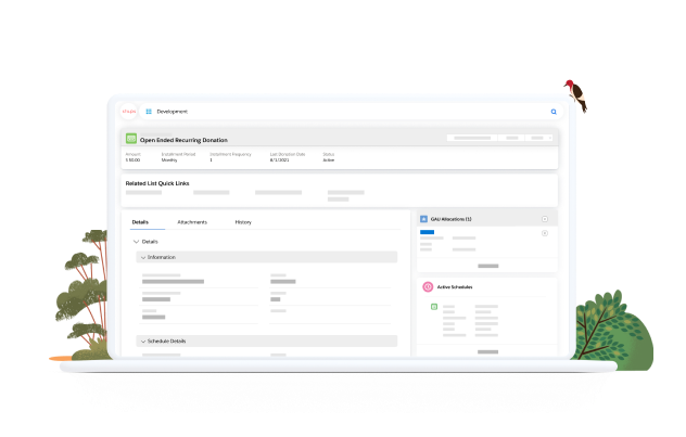 Recurring Donation CRM Record