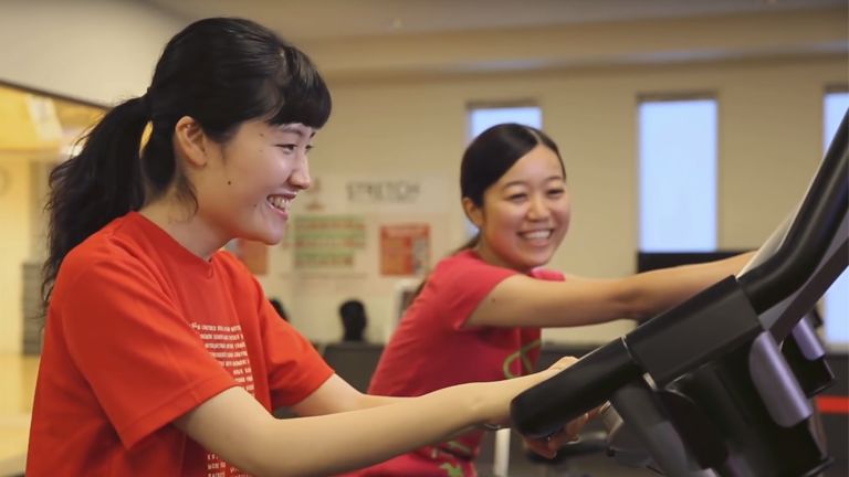 お客様事例 Pegasus 社