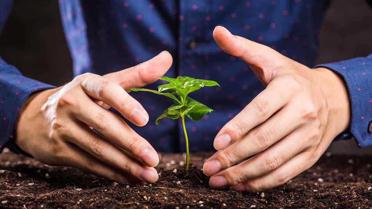 5 regler, du skal følge, hvis du vil have succes med lead nurturing