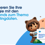 Das Marketingteam erfüllt heute zwei entscheidende Funktionen: die Pflege der Kundenbeziehungen und die Förderung des Wachstums.