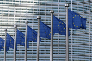 Vor einem Gebäude sind mehrere EU Flaggen zu sehen