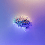 Ein Gehirn vor einem lila Hintergrund