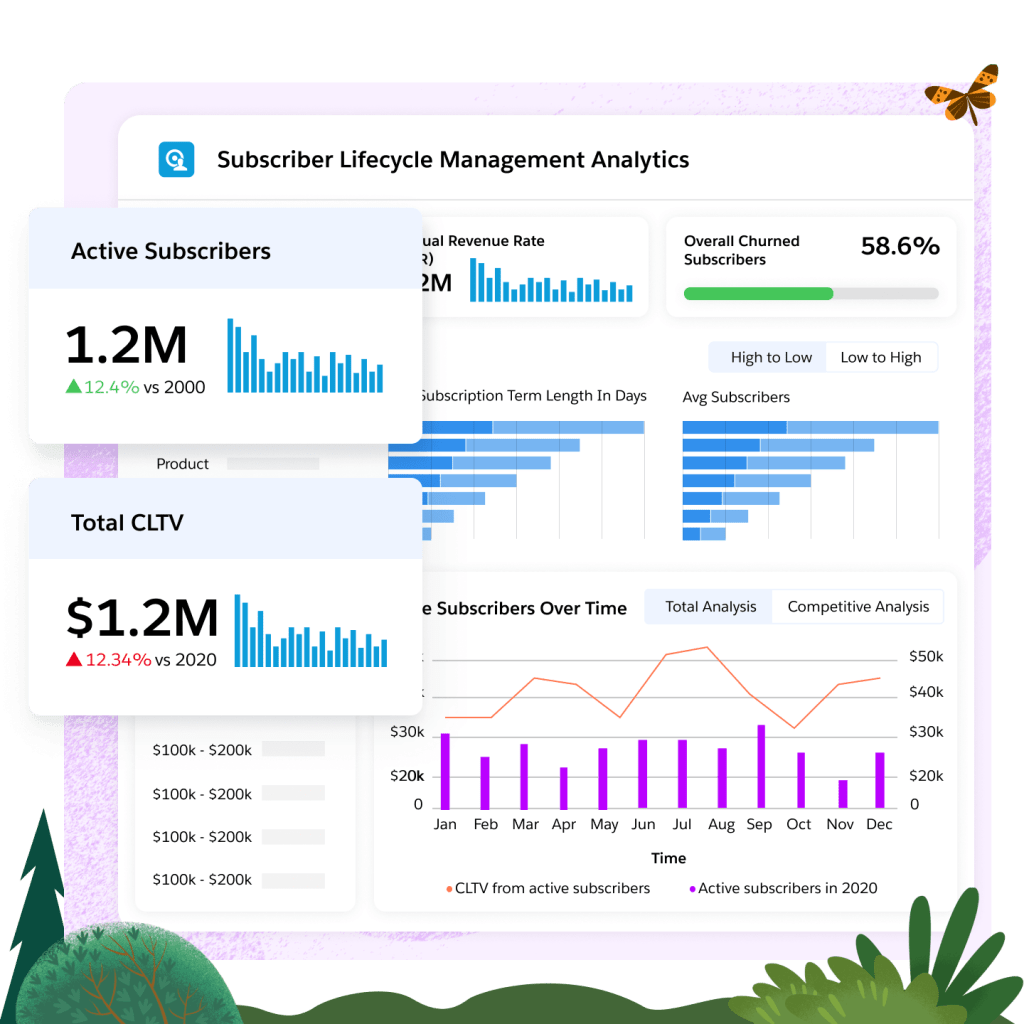 Das Dashboard der Salesforce Abonnentenverwaltungssoftware