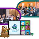 Salesforce Academy