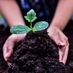 Boosting Corporate Social Responsibility for financials with Net Zero Cloud