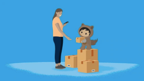 D2C consumer strategies CG companies