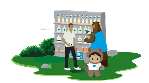 Consumer Goods Cloud: Turn Every Store into the Perfect Store