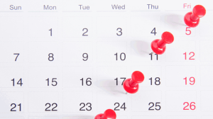 Image showing a calendar