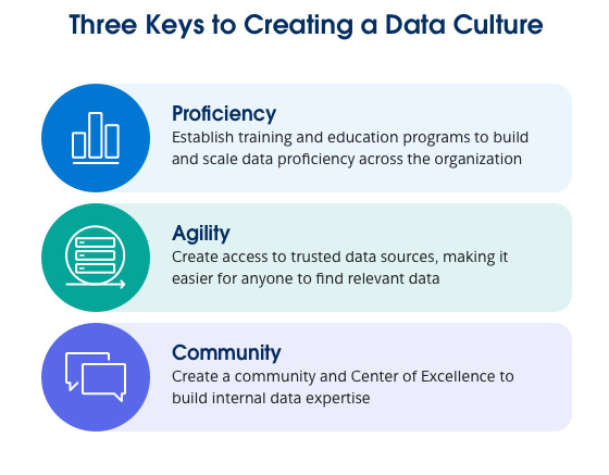 Key to data culture are proficiency, agility, community