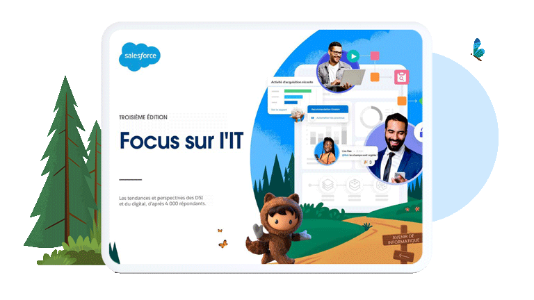 Focus sur l'IT