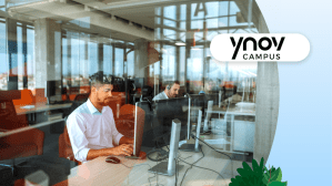 Ynov Campus Salesforce