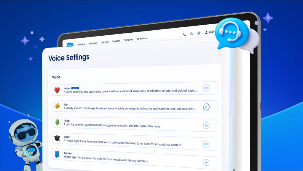 voice setting