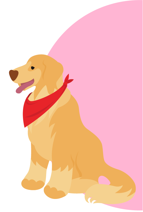 Koa the dog illustration
