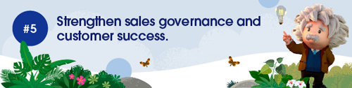 Strengthen sales governance and customer access.