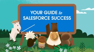 Salesforce for Sales: Get the Most out of your Sales Cloud Implementation with this Best Practices Guide