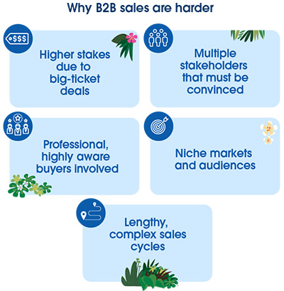 B2B challenges, big-ticket deals, multiple stakeholders, professional buyers, niche markets, complex sales cycle.