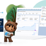 Rev-up the B2B Journey With Revenue Cloud