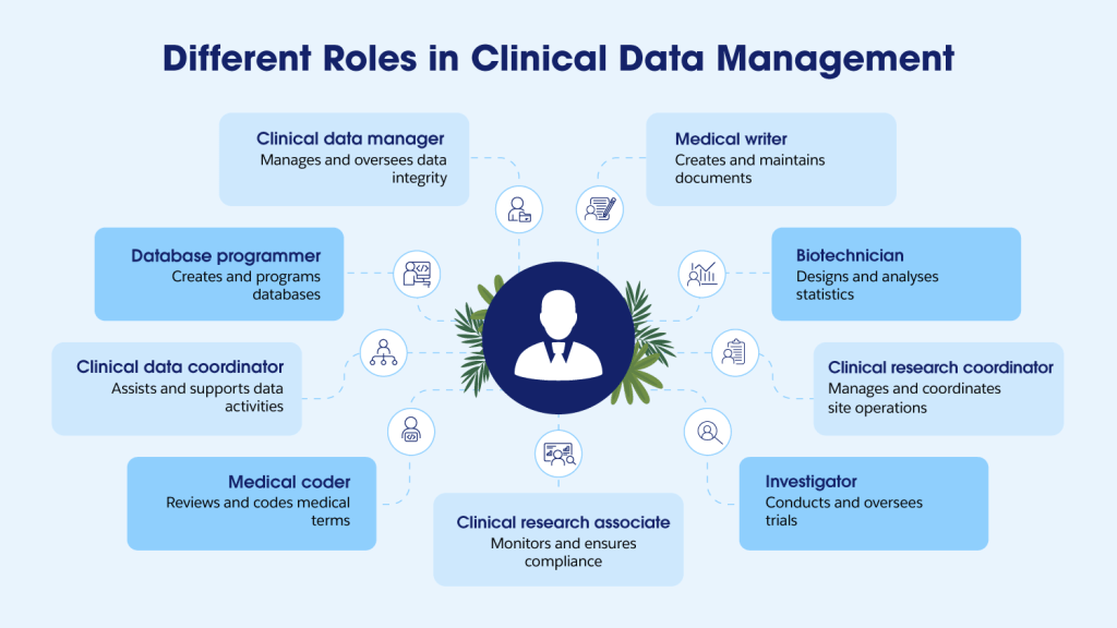 Different roles in Clinical Data Management