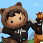 Le iniziative universitarie dell’ecosistema Salesforce in Italia