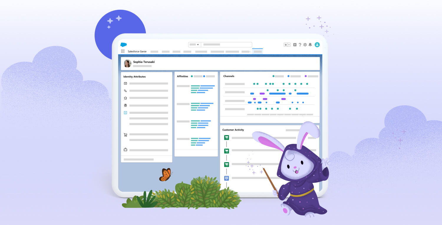 Graphic of Salesforce's unified customer data record. 