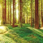 4 motivi per cui una comunità è fondamentale per la crescita delle piccole imprese