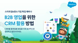 Thumbnail of How to utilize CRM for B2B sales